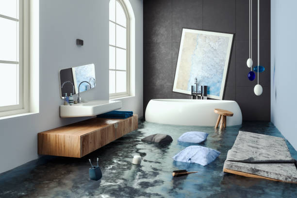 Best Water damage restoration near me  in Maroa, IL