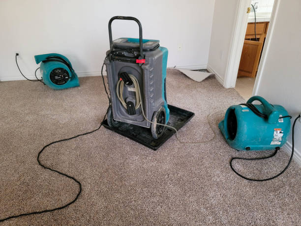 Best Flood damage cleanup  in Maroa, IL