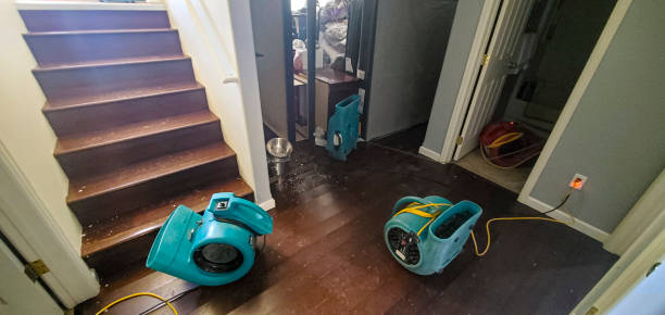 Best Residential water damage restoration  in Maroa, IL