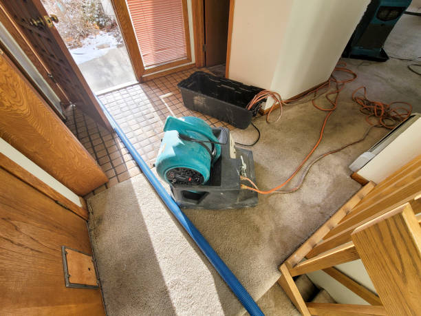 Best 24-hour water damage restoration  in Maroa, IL