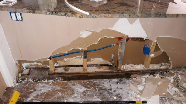 Best Water damage contractors near me  in Maroa, IL