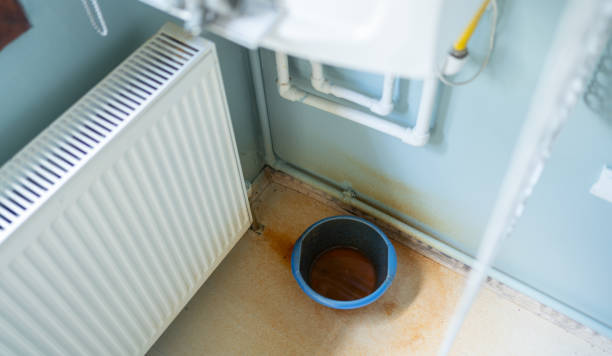 Best 24/7 water damage repair  in Maroa, IL
