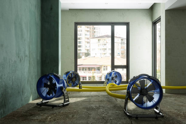 Best Water damage cleanup near me  in Maroa, IL